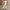 WW | Stilvolle und Bequeme Jumpsuit für Damen | Lässige Eleganz