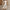 WW | Eleganter und Bequemer Jumpsuit