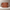 Premium Handtasche