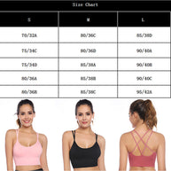 WW | 3er Pack Damen Sport Bh Gepolstert Crisscross Yoga Bh Nahtlos Mittel Impact Fitness Activewear