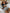 WW | Damen Hohe Taille Boxer Bindung Bedruckt Einfarbiges Panel Bikini