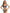 WW | Media Blumen Bikini