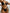 WW | Sommer Liebe Bikini