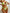 WW | Sommer Liebe Bikini