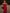 WW | Wickelsaum Schal Kleid