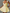 WW | Neues Rückeloses Sling-Spitzenkleid