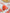 WW | Blumenmuster Halterneck-Bikini