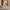 WW | Eleganter und Bequemer Jumpsuit