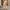 WW | Stilvolle und Bequeme Jumpsuit für Damen | Lässige Eleganz