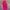 WW – Das Kleid für jede Frau