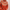WW | norwegische Yoke Pullis - warme skandinavische Damenpullover