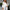 WW | Elegante Bluse mit Spitzenstickerei