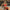 WW | 2 Teilig Frecher Push Up Bikini Set Schicke Damenmode Zum Schwimmen