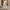 WW | Stilvolle und Bequeme Jumpsuit für Damen | Lässige Eleganz