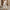 WW | Eleganter und Bequemer Jumpsuit
