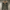 WW | Comfortable Warm Women's Winter Coat