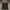 WW | Comfortable Warm Women's Winter Coat