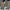 WW | Weite Beinform Hosen