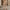 WW | Stilvolle und Bequeme Jumpsuit für Damen | Lässige Eleganz