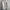 WW | elegantes Herren Chinohemd