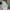 WW | Elegante Bluse mit Spitzenstickerei