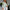 WW | Elegante Bluse mit Spitzenstickerei