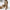 Lyndia™ - Woman Weites Overallkleid