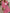 Modische Frau trägt eine rosa Strickjacke, ein weißes bauchfreies Top und blaue Jeans und hält eine beige gesteppte Handtasche mit Kette