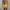 WW | Herren Badehose Schnell Trocknende Schwimmshorts Mit Stretch