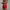 WW | Herren Badehose Schnell Trocknende Schwimmshorts Mit Stretch