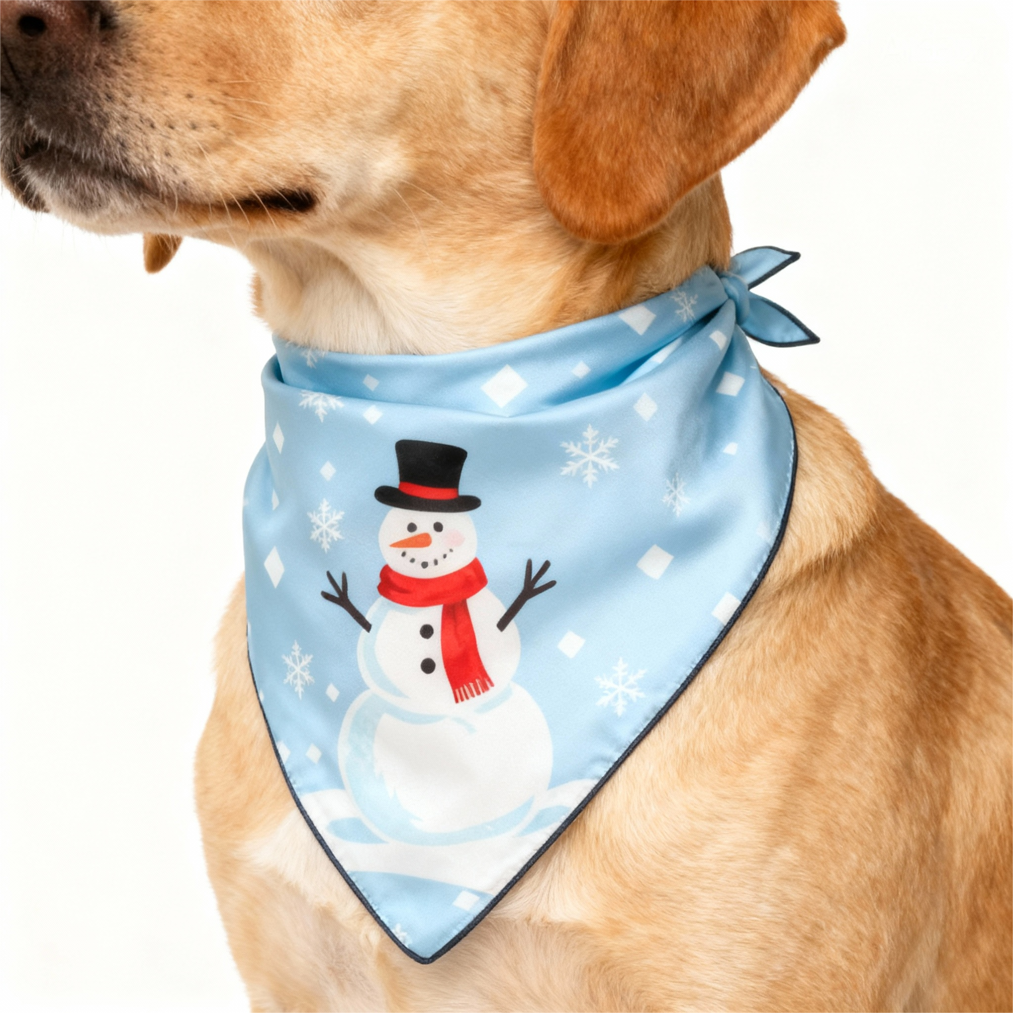 WW | Holiday Family Button-Up Himmelblau Satin Weihnachten Schlafanzug Set