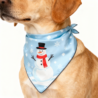 WW | Holiday Family Button-Up Himmelblau Satin Weihnachten Schlafanzug Set