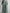 WW | Sommerkleid Mit Muster