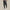 WW | Stilvolle Herren Cargohose
