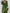Kaftan mit V-Ausschnitt
