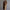 WW | Langer Trenchcoat Jas Kaschmir Damen