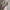 WW | Langer Trenchcoat Jas Kaschmir Damen
