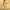 WW | Damen Festlich Jumpsuit Elegant