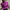 Karen™ - Damen Rollkragenpullover mit Gewinde