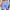 WW | Klassische Gestreifte Boardshorts