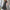 WW | Damen Ballmuster Kleid