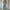 WW | Damen Ballmuster Kleid