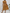 WW | Luftiges Midi Sommerkleid Schick