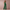 WW | Damen Jumpsuit Mit Weiten Hosen Elegant, Komfortabel & Vielseitig