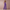WW | Damen Jumpsuit Mit Weiten Hosen Elegant, Komfortabel & Vielseitig
