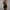 WW | Herren Schwimmshorts
