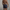 WW | Herren Schwimmshorts