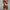 WW | Herren Schwimmshorts