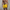 WW | Herren Schwimmshorts