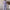 WW | Stylisches Set aus Leinen